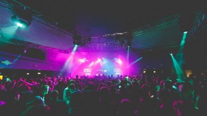 David Howard Lighting